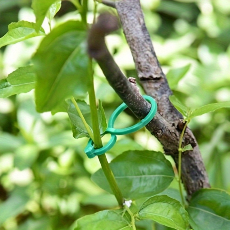 125-teiliges Gartenpflanzen-St – Tie Bar Clip Bewertung und Preis